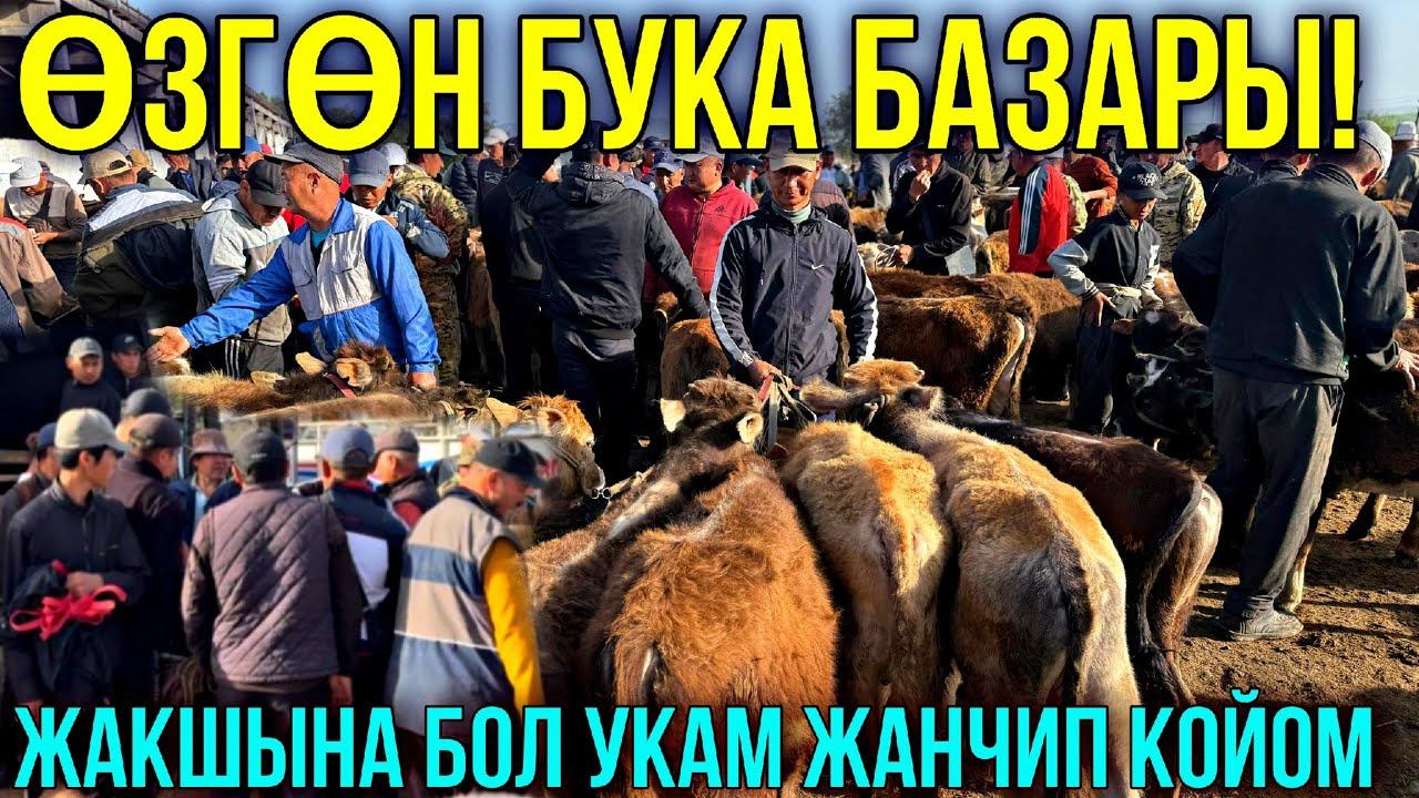 БУКА БАЗАР ТОРПОК ТАЛАШЫП МУШТАШЫП #байтв смотреть онлайн