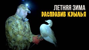 Летняя зима. Расправив крылья 1.1