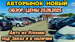Авторынок Новый Авто из Японии под Заказ в Наличии Кей Кар Хэтчбек Минивэн Кроссовер Универсал Седан
