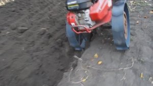 Пахота мотоблоком Салют-100.