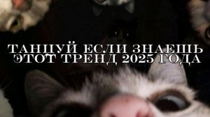 танцуй если знаешь  этот тренд 2025 года