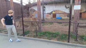 GPDX5540 Малыш понравился Шархану - поиграем Видео от опекуна Светланы