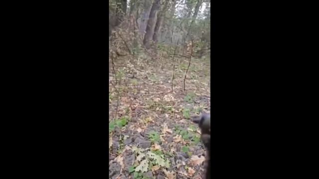 Реальные видео боев СВО. разгром украинских вояк