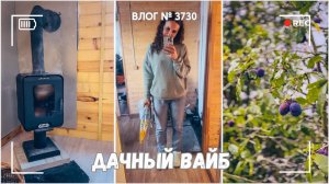 Дачный вайб | Собираем урожай | Что я сейчас читаю -  ВЛОГ №3730 - 21.09.25