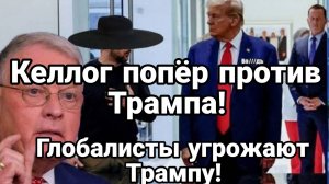 ТАМИР ШЕЙХ / КЕЛЛОГ ПОПЁР ПРОТИВ ТРАМПА. новости сводки