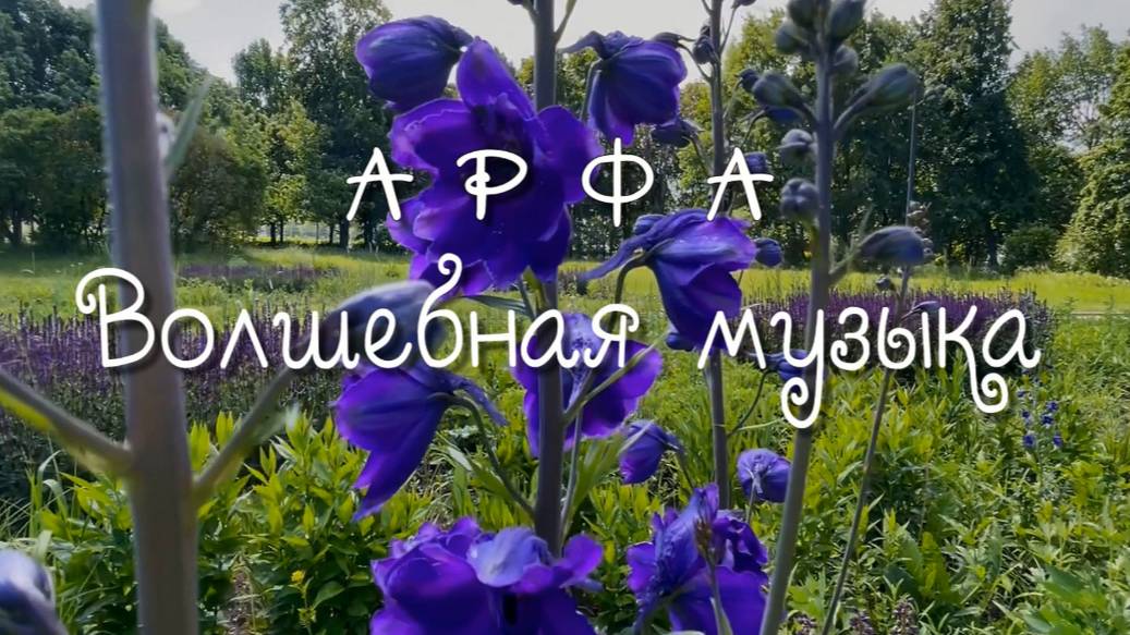 Ирландская арфа, волшебная музыка.   Музыка для души
