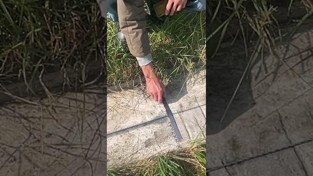 21_СЕНТЯБРЯ_2025_НАЧАЛО_ОСЕННЕГО_РАВНОДЕНСТВИЯ_КРИВАНДИНСКИЙ МЕГАЛИТИЧЕСКИЙ КОМПЛЕКС. ВСЁ ЦИКЛИЧНО смотреть онлайн