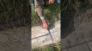 21_СЕНТЯБРЯ_2025_НАЧАЛО_ОСЕННЕГО_РАВНОДЕНСТВИЯ_КРИВАНДИНСКИЙ МЕГАЛИТИЧЕСКИЙ КОМПЛЕКС. ВСЁ ЦИКЛИЧНО