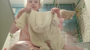 собираю реборнов в деревню?!