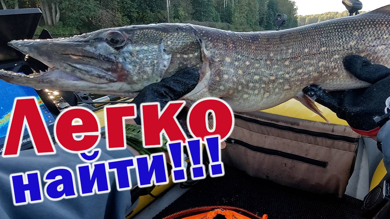 СЕГОДНЯ ПОЙМАЕМ ВСЕХ!!! ЩУКА, СУДАКИ И ОКУНИ!!! ГЛАВНОЕ НА ЧТО ЛОВИТЬ!!! смотреть онлайн