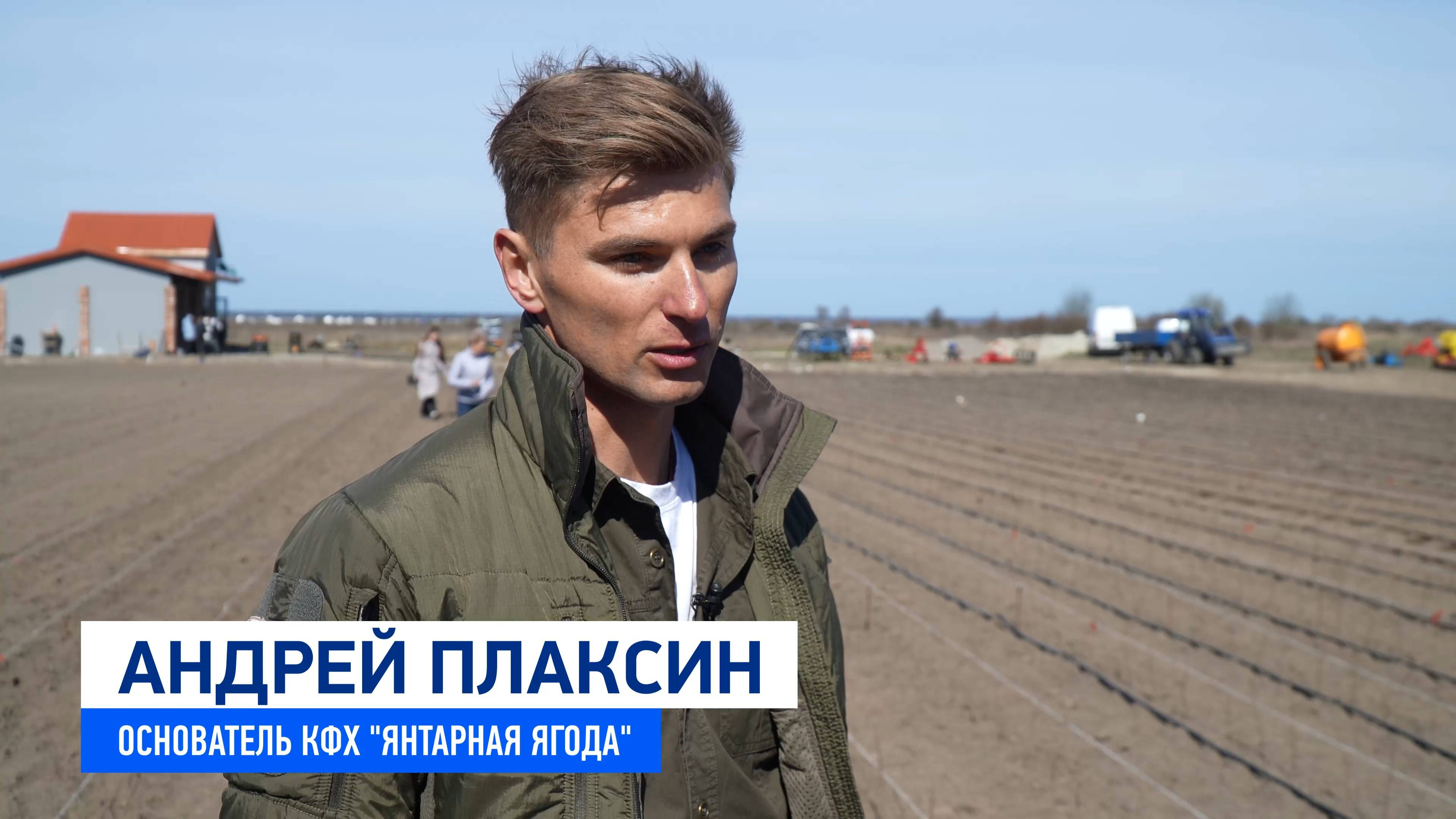 КФХ Плаксин А.О. - высадка облепихи смотреть онлайн