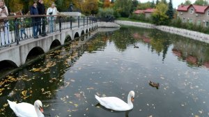 Сад Аксакова, Уфа, Скейт-парк, Читальный дом, Детская площадка, Пруд, Лебеди, Утки