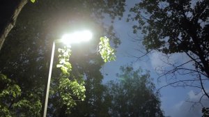 Вязники. Место притяжения