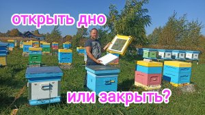 Осень на пасеке! Когда открывать или закрыть дно у ульев ППС?