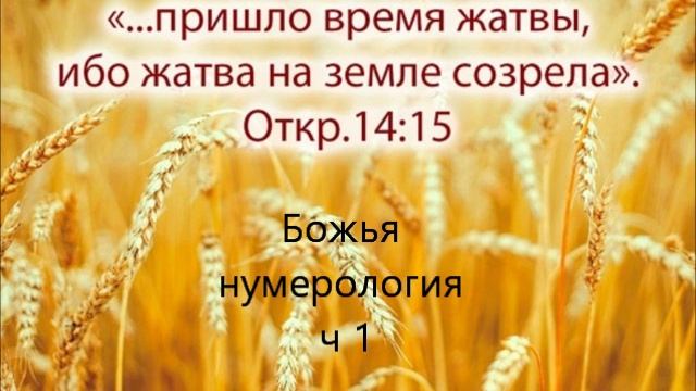 Божья нумерология 1 смотреть онлайн
