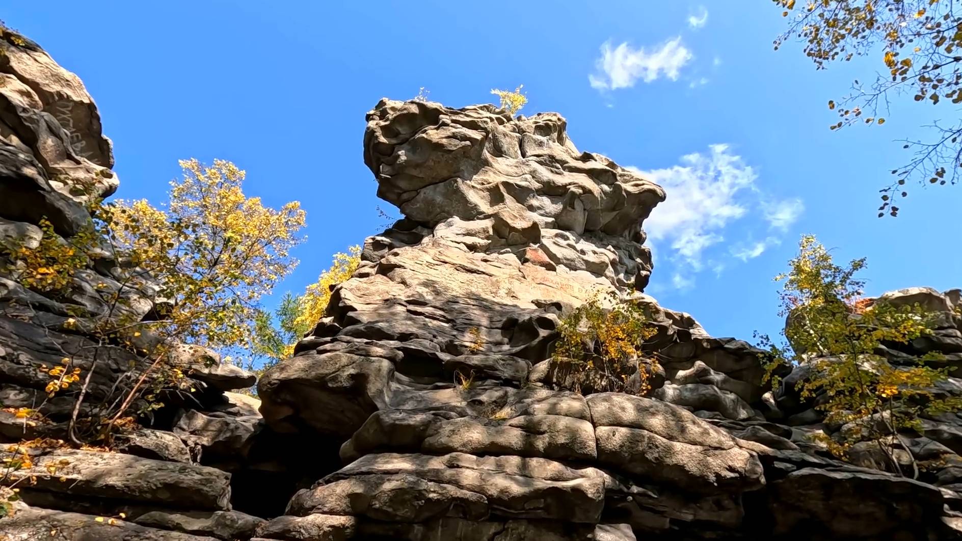 Семь братьев