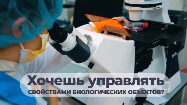 Программа «Практическая биоинформатика и молекулярная биология»