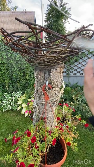 Аист и гнездо смотреть онлайн