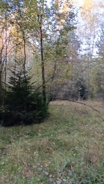 Осень смотреть онлайн