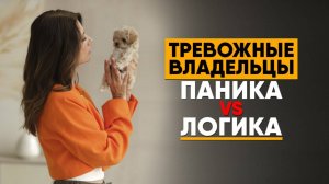 Щенок много спит или не ест? Когда бить тревогу и ехать к ветеринару