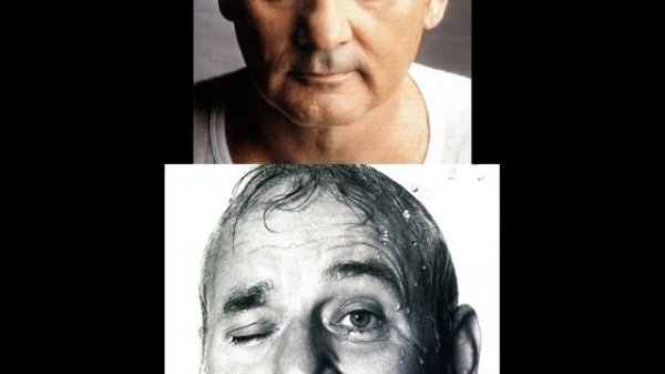 Билл Мюррей ( Bill Murray )