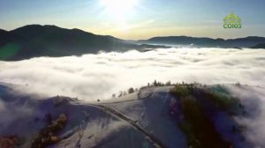 Стихи над миром. Стихотворения Романа Перельштейна