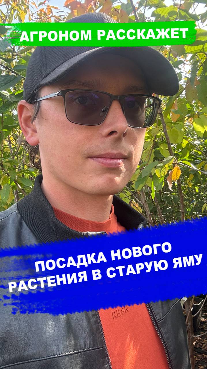 Посадка растения на месте умершего смотреть онлайн