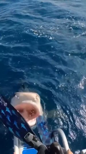 Еле увернулась