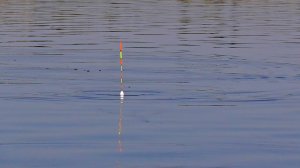 ОСЕННИЙ ЖОР РЫБЫ И РАКА НАЧАЛСЯ! УДАЧНАЯ ОСЕННЯЯ РЫБАЛКА! Рыбалка на поплавок на карася с берега