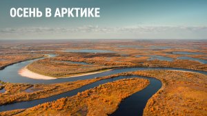 Осень в Арктике