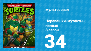 Черепашки-мутанты-ниндзя 3 сезон 34 серия (мультсериал, 1989)