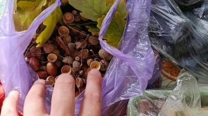 БАЗАР, МАГАЗИНЫ, ПОКУПКИ, ОБНОВКИ, ГОТОВКА.