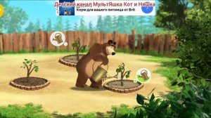 Маша и Медведь Мультфильм Игра