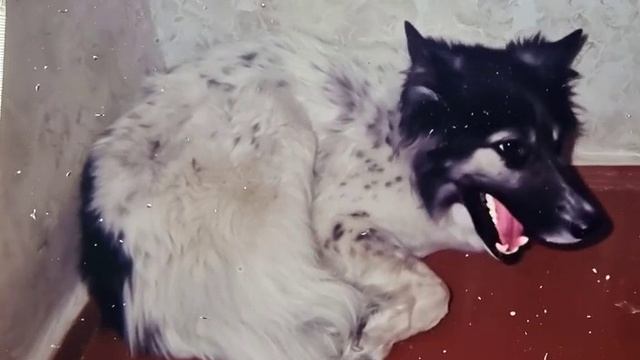1000087725.mp4 смотреть онлайн