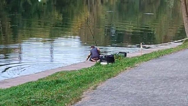 Поимка белый стрейч смотреть онлайн