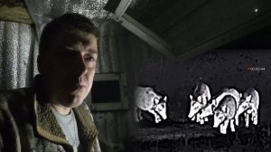 Охота на кабана в начале осени