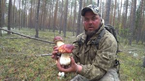 ПЯТЬ ВЁДЕР ЗА ДВА ЧАСА, ЛЕГКО! ЗА БОРОВИКАМИ С ДОЧКОЙ И ЖЕНОЙ \ СБОР БЛАГОРОДНЫЙ ГРИБОВ 2025.