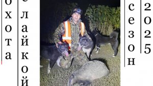 открытие охоты на барсука с лайками 2025