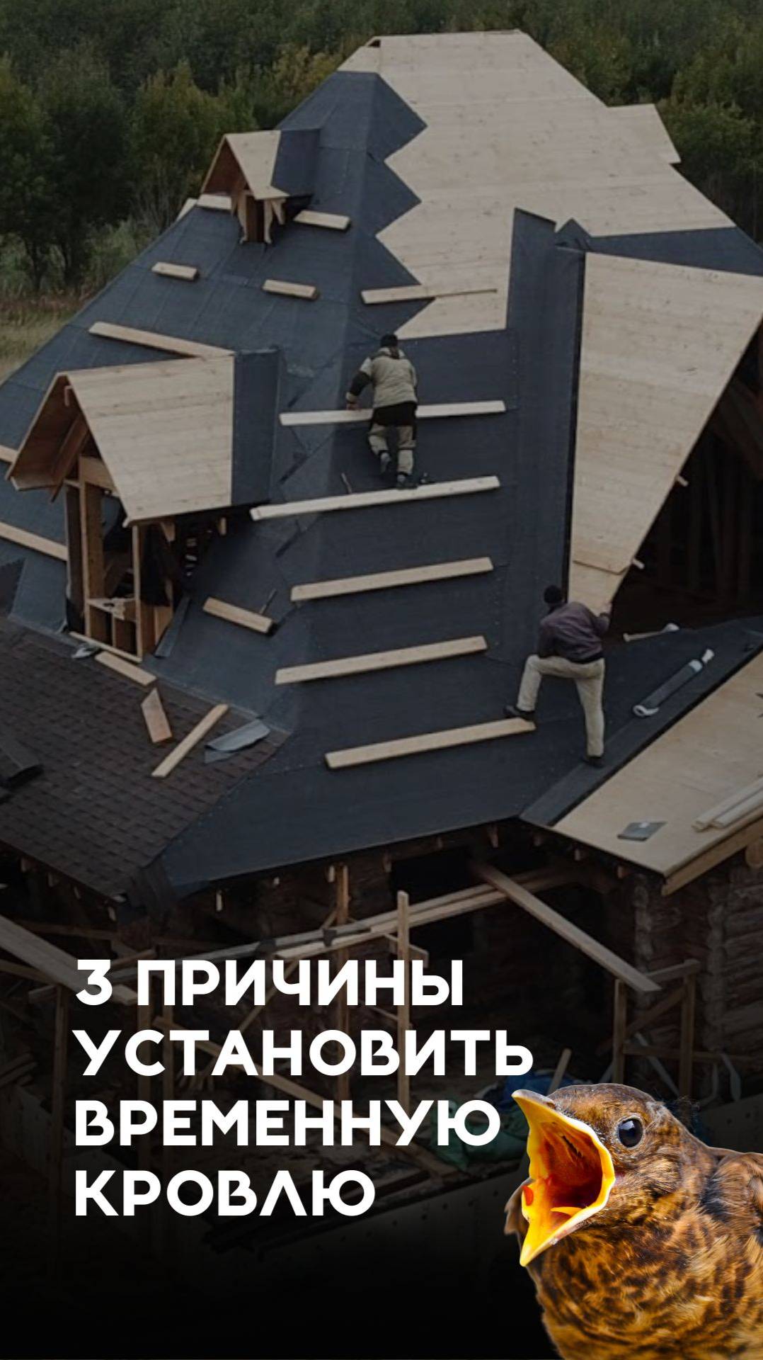 3 причины установить временную кровлю на период усадки сруба смотреть онлайн