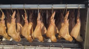 ВЛОГ О ТОМ, КАК МЫ ПОРАБОТАЛИ И ОТДОХНУЛИ НА ФЕСТИВАЛЕ БИРМИТ В ВОРОНЕЖЕ!