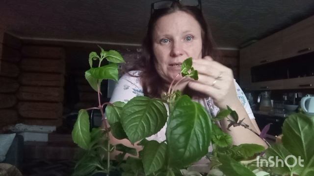 Съездила в город Чердынь.Что то опять я там купила. смотреть онлайн