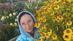 Видео привет с 6 соток 18 сентября 2025 года