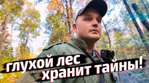 Нашёл старое поселение в чаще леса! Находки с металлоискателем