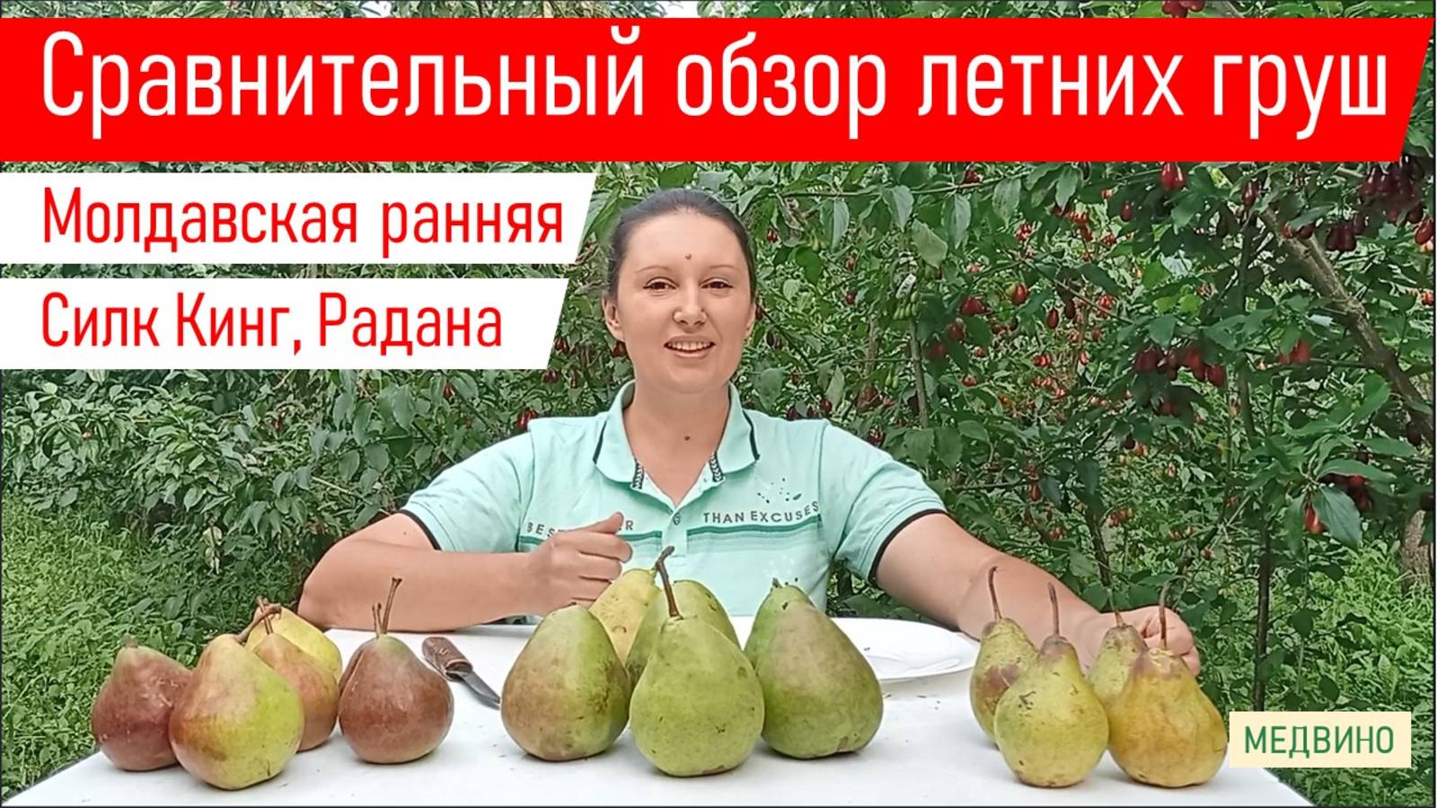 Сравнительный обзор летних груш Молдавская ранняя, Силк Кинг, Радана смотреть онлайн