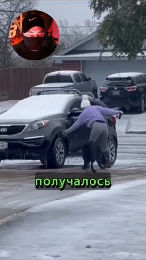 Собака сбила хозяйку с ног.