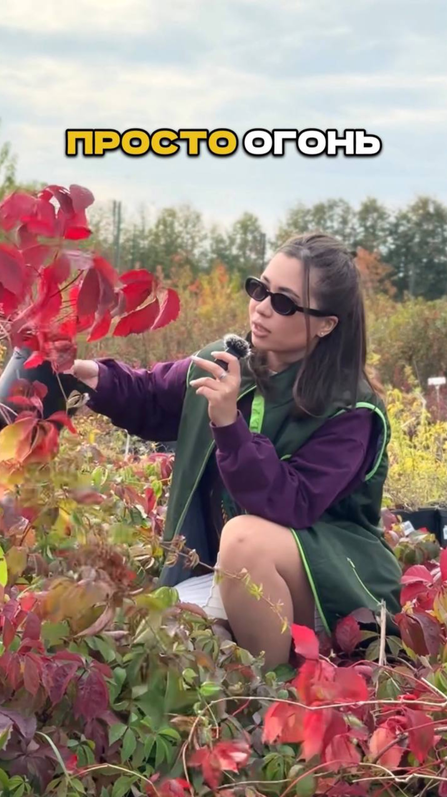 Скрыть Забор - ЛЕГКО И ПРОСТО!🍁🔥 смотреть онлайн