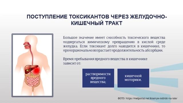 Ястребинская 1 1 v2