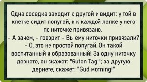 Как Вовочка повел Машеньку в лес! Сборник свежих анекдотов! Юмор