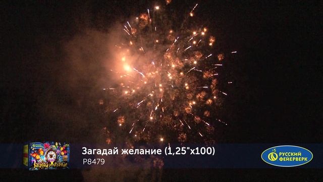 P8479 смотреть онлайн