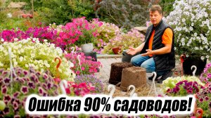 Какой грунт ЛУЧШЕ Синий Агробалт или черный Биогрунт Итоги честного эксперимента.